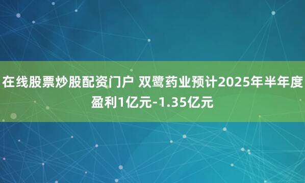 在线股票炒股配资门户 双鹭药业预计2025年半年度盈利1亿元-1.35亿元
