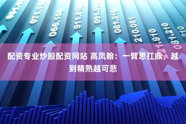 配资专业炒股配资网站 高凤翰：一臂思扛鼎，越到精熟越可悲