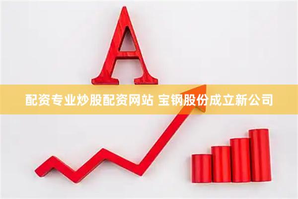 配资专业炒股配资网站 宝钢股份成立新公司