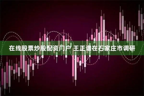 在线股票炒股配资门户 王正谱在石家庄市调研