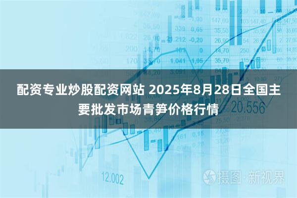 配资专业炒股配资网站 2025年8月28日全国主要批发市场青笋价格行情